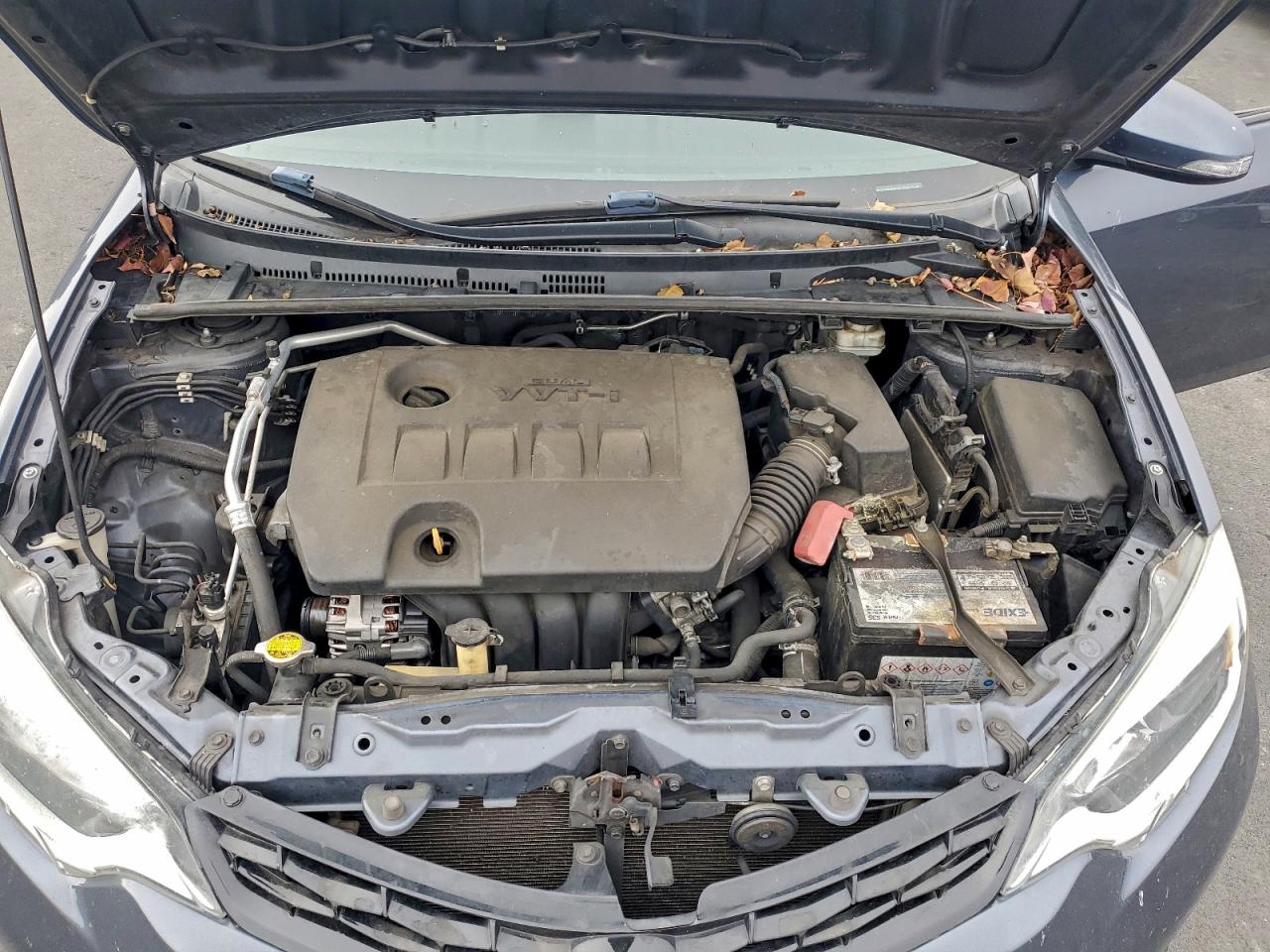 Toyota Corolla L Image 12