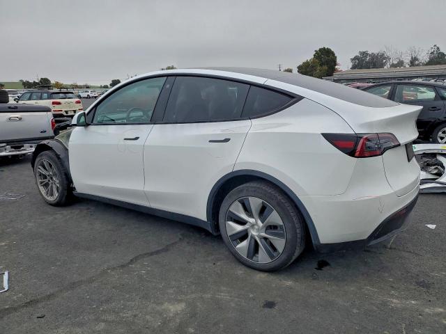 Tesla Model Y Image 4