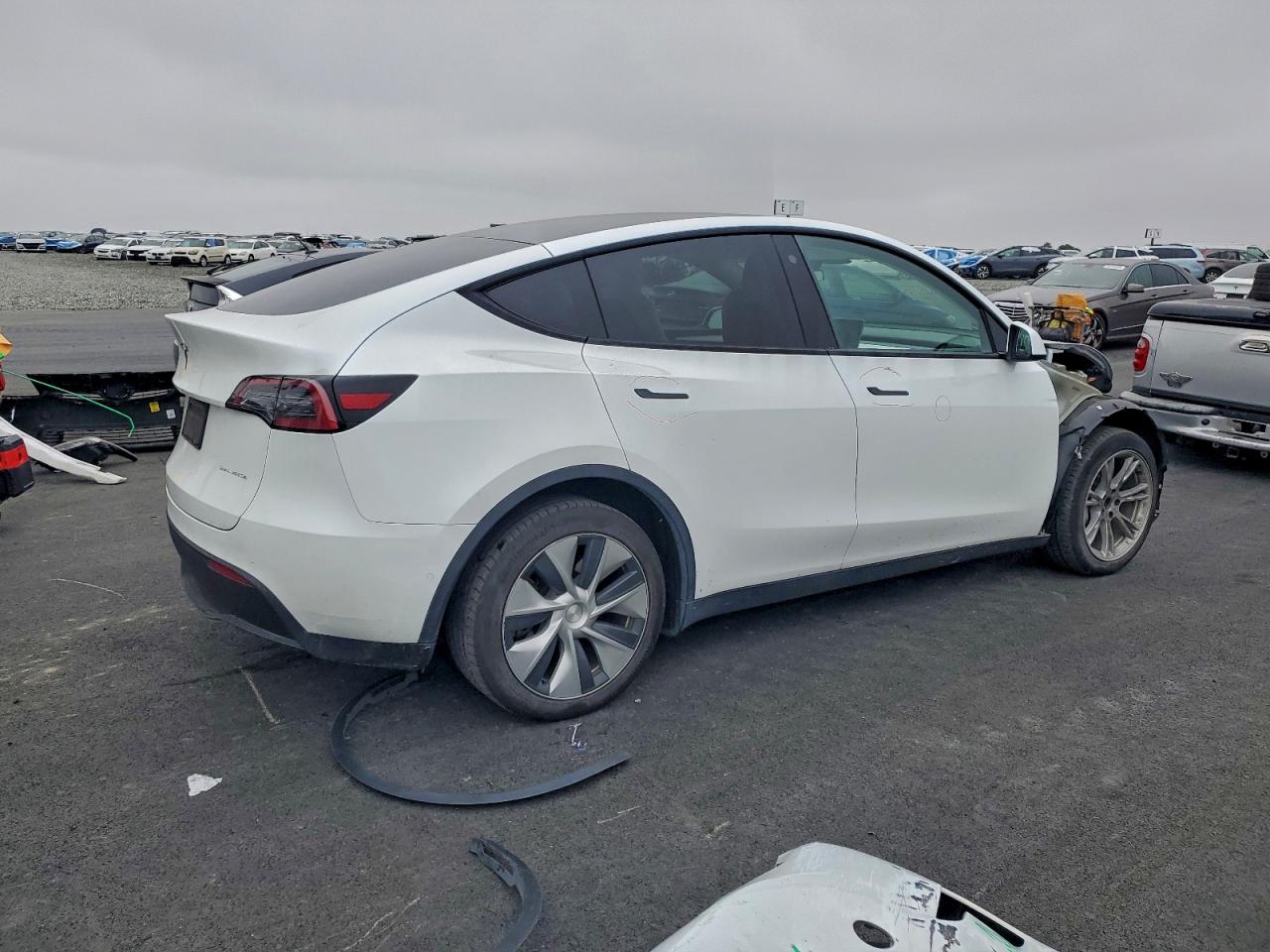 Tesla Model Y Image 2