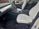 Tesla Model Y Image 11