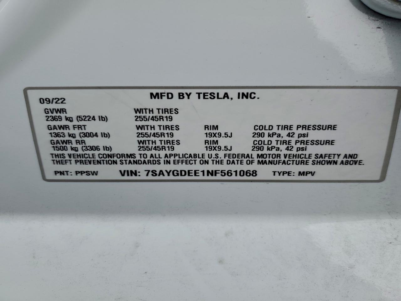 Tesla Model Y Image 12