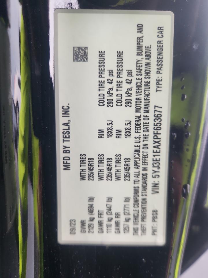 Tesla Model 3 Image 6