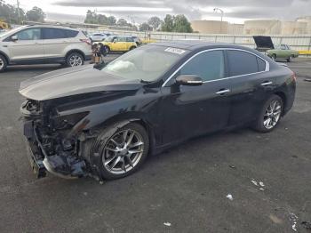  Salvage Nissan Maxima