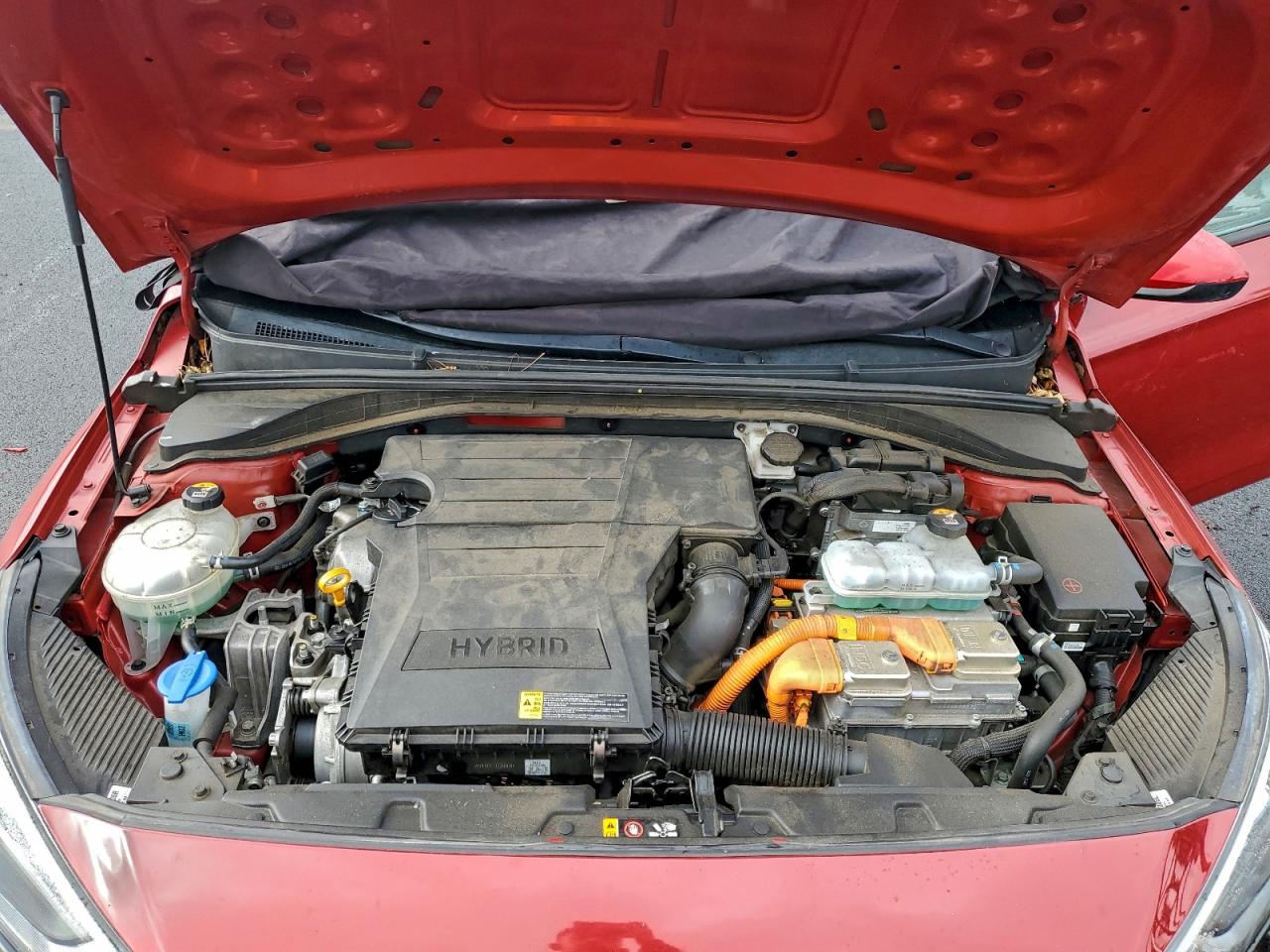 Hyundai Ioniq Blue Image 6