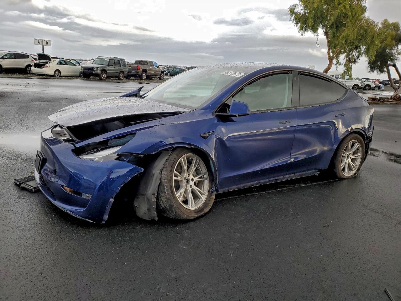 Tesla Model Y Image 1