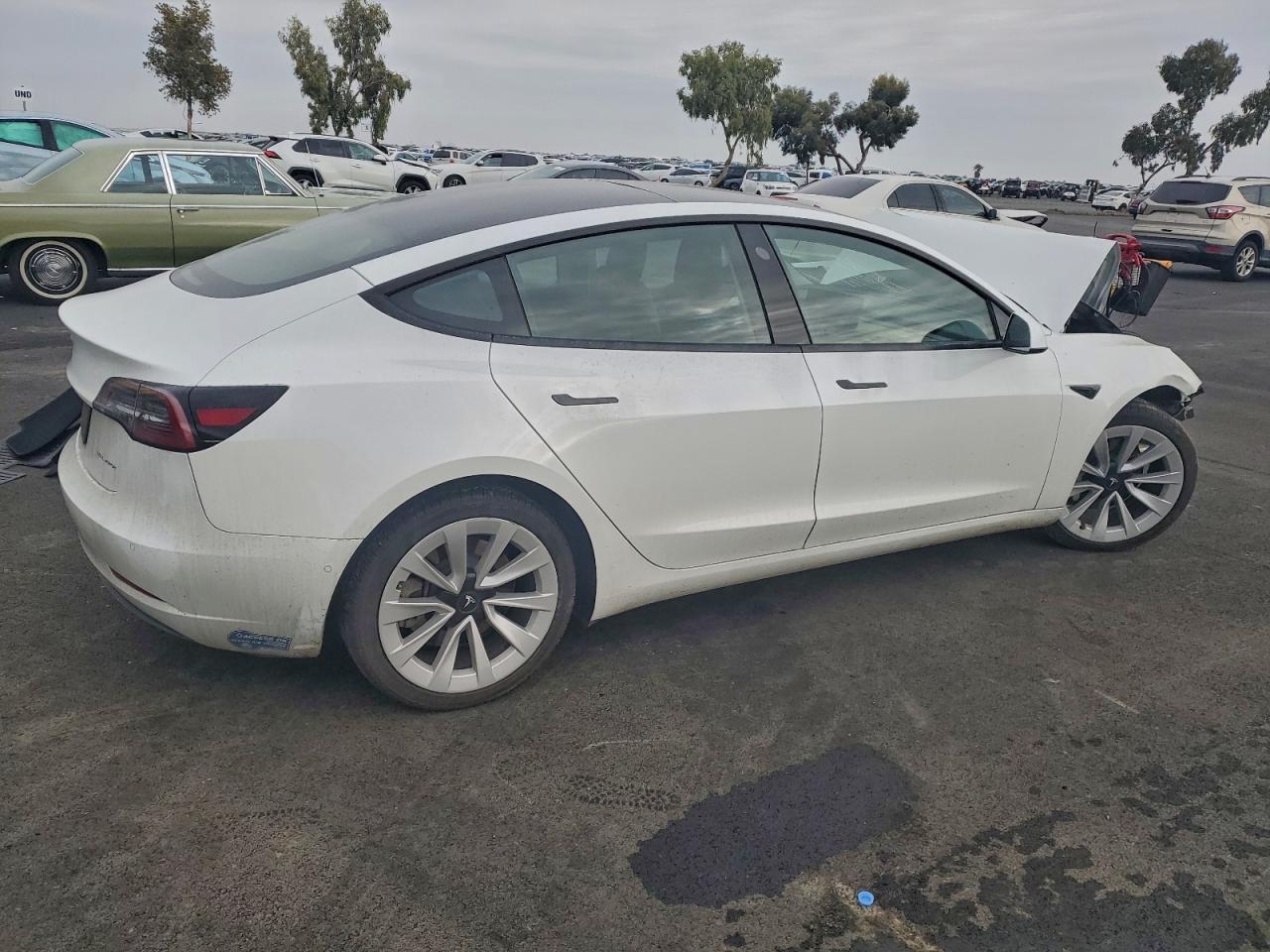 Tesla Model 3 Image 9