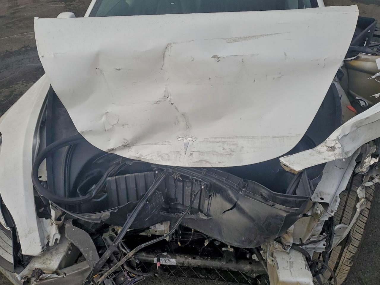 Tesla Model 3 Image 8