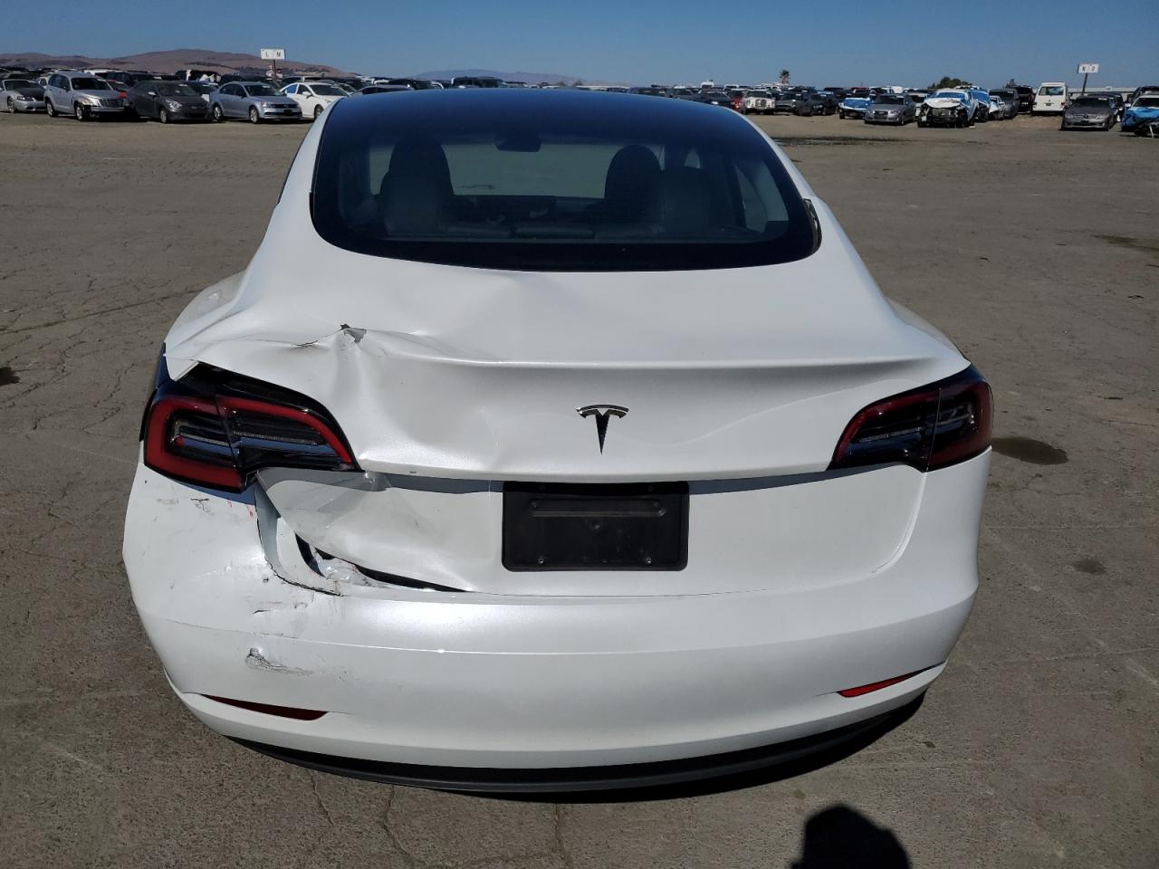 Tesla Model 3 Image 6