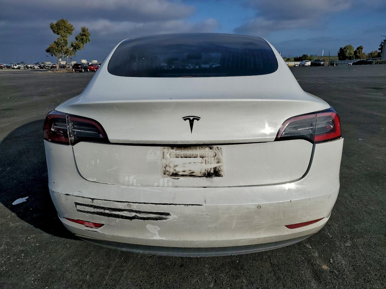 Tesla Model 3 Image 6